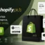 Shopify Plus SEO